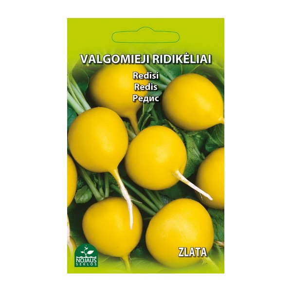 Redīsi Zlata