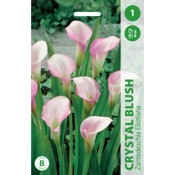 KALLAS CRYSTAL BLUSH 1gab