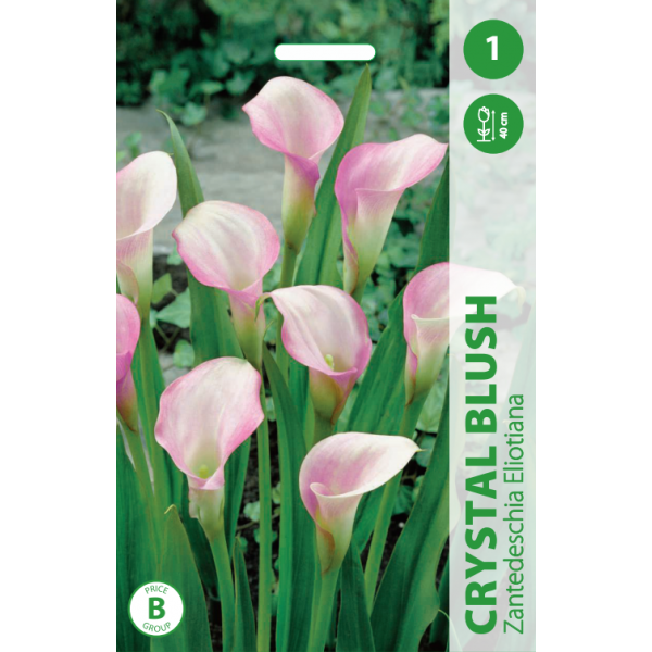 KALLAS CRYSTAL BLUSH 1gab