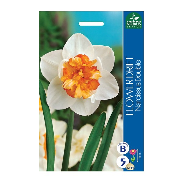 Narcises FLOWER DRIFT, 5 sīpoli