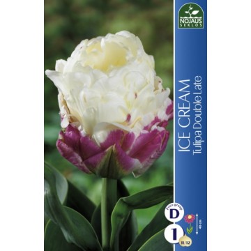 Tulpes ICE CREAM