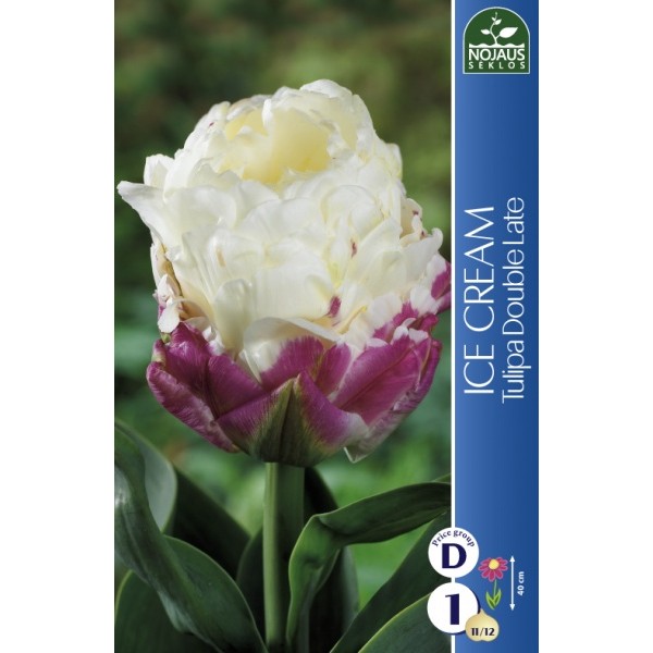 Tulpes ICE CREAM