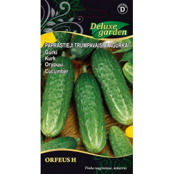 GURĶI, ĪSLAPU GURĶI ORFEUS H