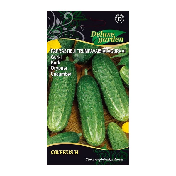 GURĶI, ĪSLAPU GURĶI ORFEUS H