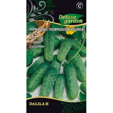 GURĶI, ĪSLAPU GURĶI DALILA H