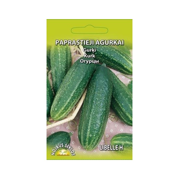 GURĶI, ĪSLAPU GURĶI LIBELLE H