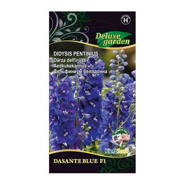 Lielais Pentīnijs DASANTE BLUE H