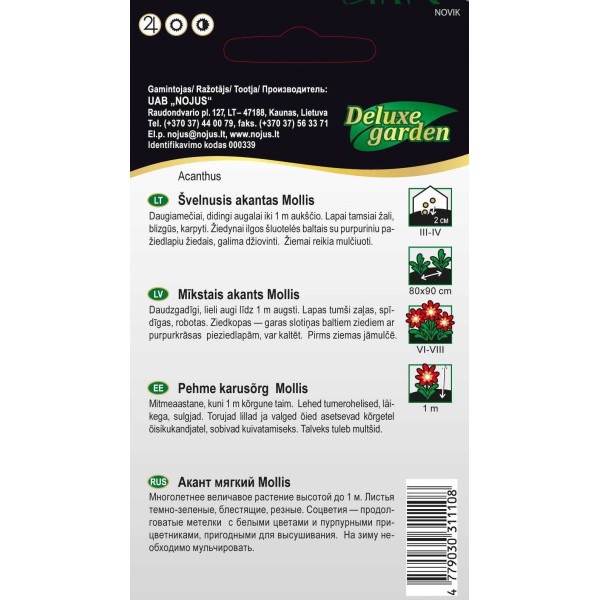 MĪKSTAIS AKANTS (ACANTHUS MOLLIS)
