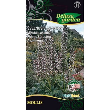 MĪKSTAIS AKANTS (ACANTHUS...