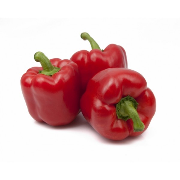 Paprikas Yecla H, 8 sēklas