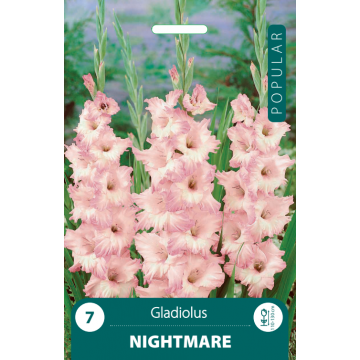 Gladiolas Nightmare