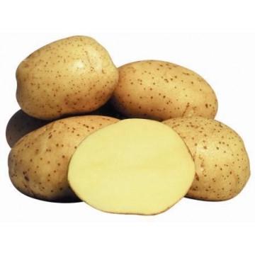 VINETA sēklas kartupeļi 5Kg