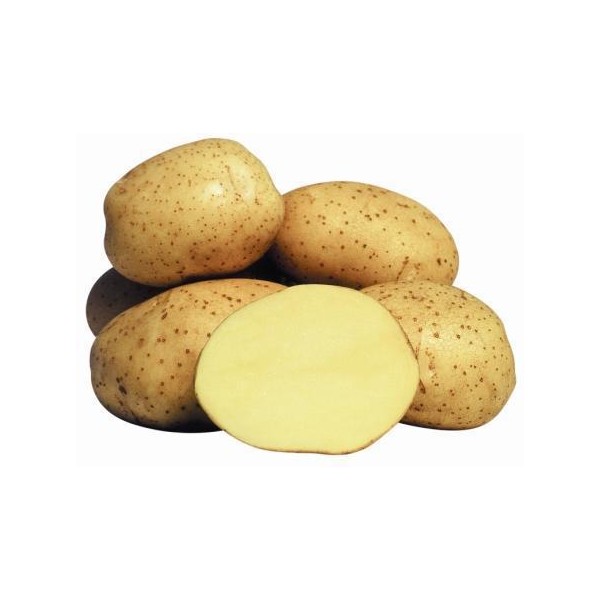 Agrīnie ‘Vineta’ sēklas kartupeļi 5 kg