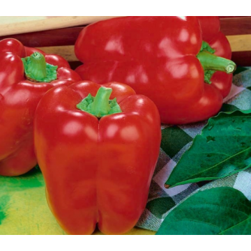 Paprikas Barborka, 10 g