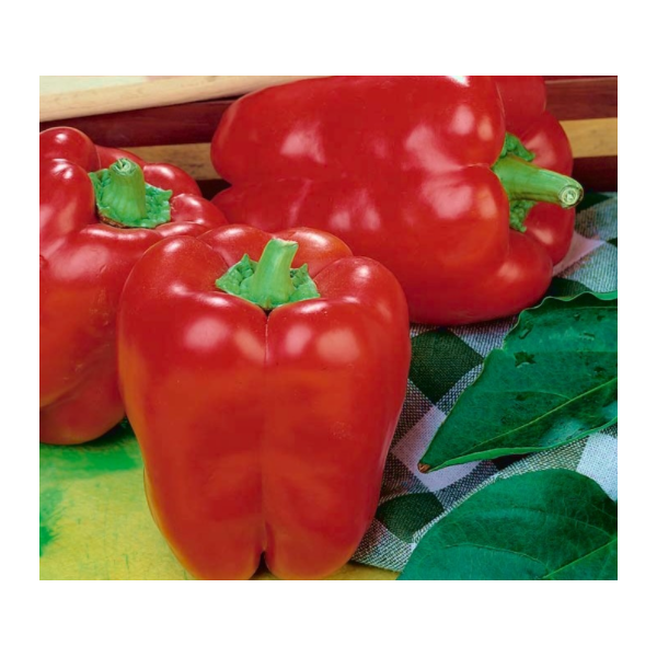 Paprikas Barborka, 10 g