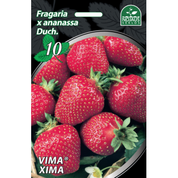 50gab. Vima® Xima frigo...