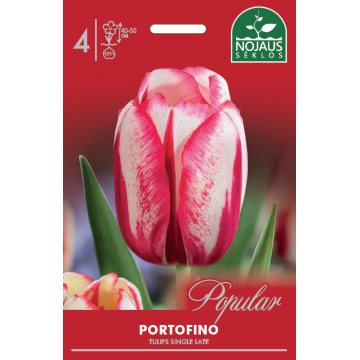 POPULAR TULPES PORTOFINO
