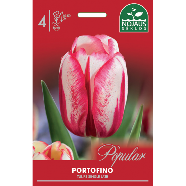 POPULAR TULPES PORTOFINO