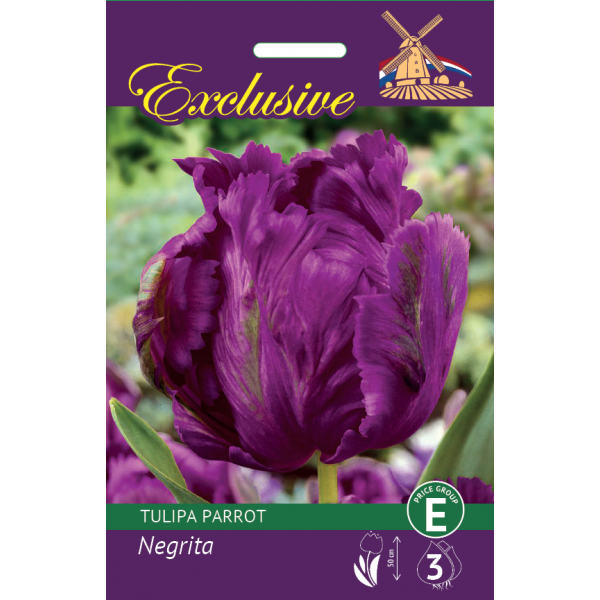 TULPES EXCLUSIVE PARROT NEGRITA