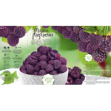 RUBUS IDAEUS VIOLET Special...