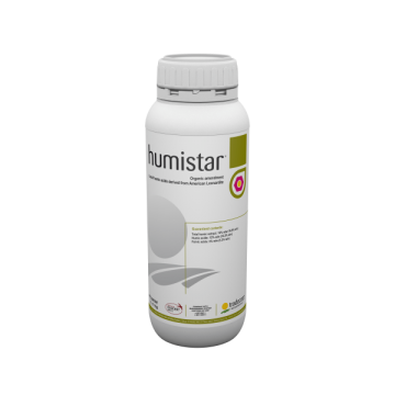 HUMISTAR AUGSNES UZLABOTĀJS...