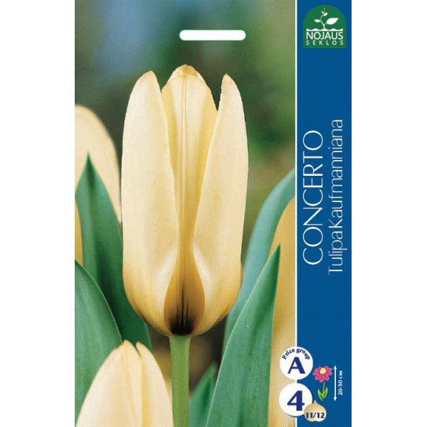 TULPES CONCERTO