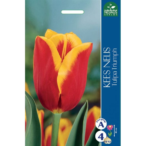 TULPES KEES NELIS