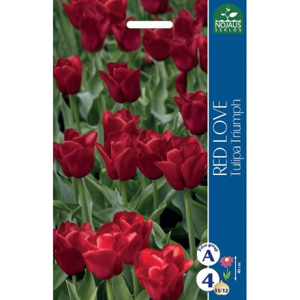 TULPES RED LOVE 5 gab