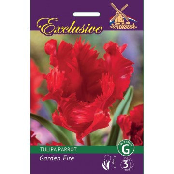 TULPES EXCLUSIVE GARDEN FIRE