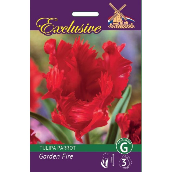 TULPES EXCLUSIVE GARDEN FIRE
