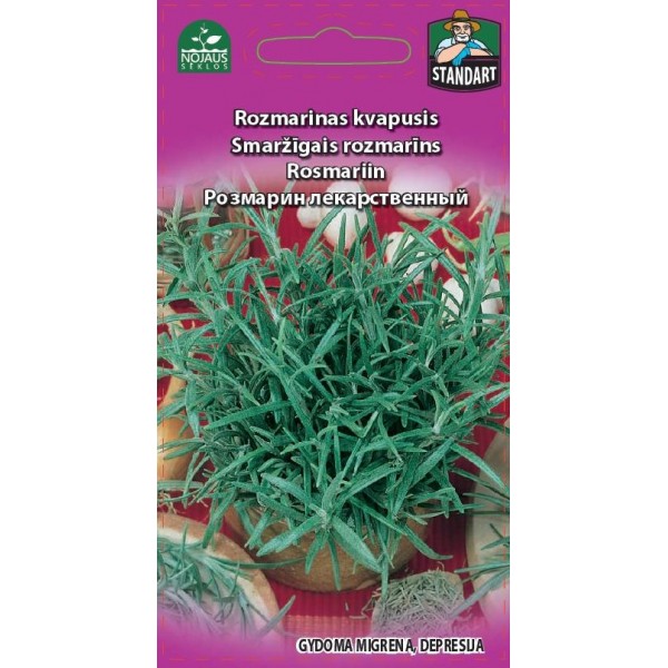 AROMĀTISKS ROZMARĪNS