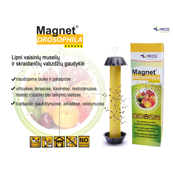 MAGNET Drosophila augļu mušu lamatas, 1 gab.