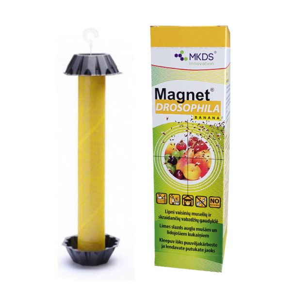 MAGNET Drosophila augļu mušu lamatas, 1 gab.