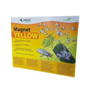 Magnet DZELTENS baltmutes...