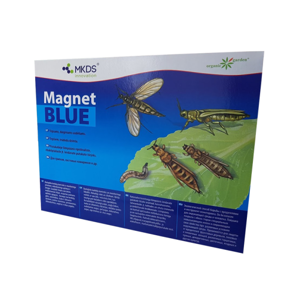 Magnet BLUE tripsų,daiginių uodelių gaudyklė 20x25