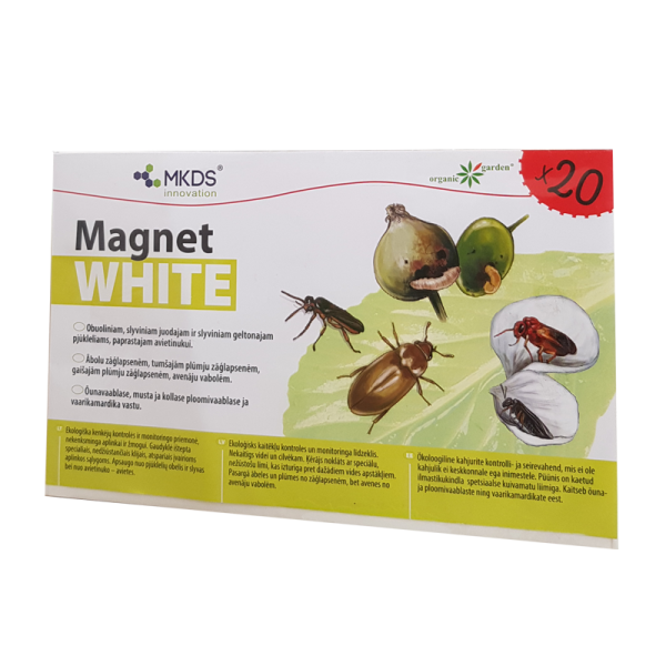 MINI Magnet WHITE 20x12cm, 20 vnt