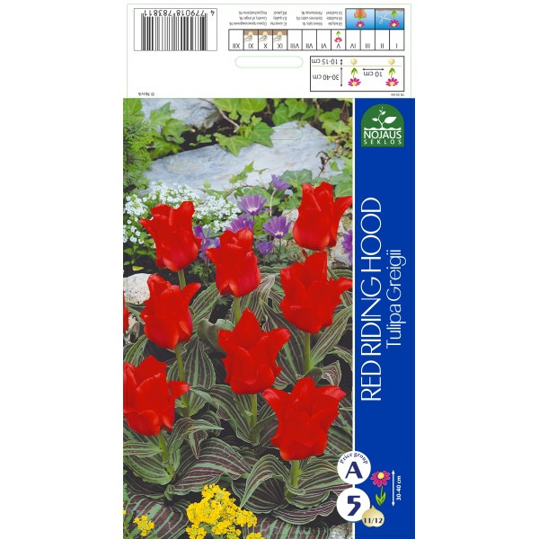 Tulpes RED RIDING HOOD 11/12 5 ga