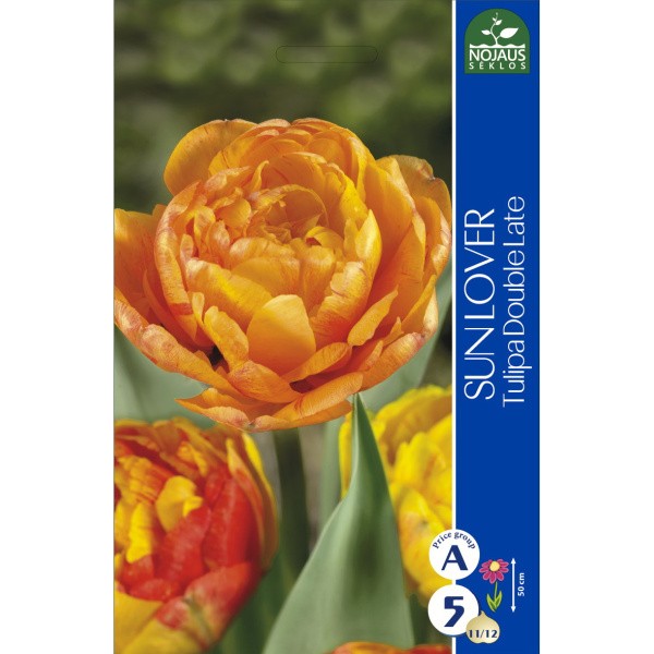 Tulpes SUN LOVER (11/12) 4 gab