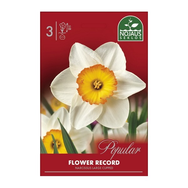 Narcises Flower Record 12/14 3 gab.