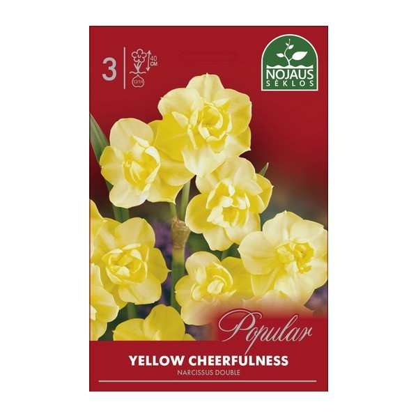 Narcises Yellow Cheerfulness 12/14 3 gab.