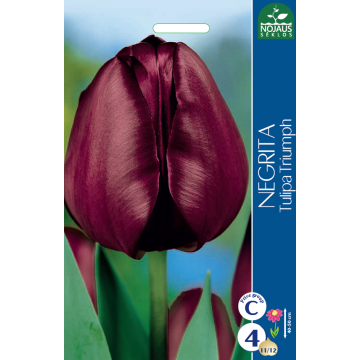 Tulpes NEGRITA 11/12 4 gab