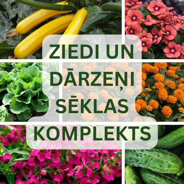 Ziedu un dārzeņu sēklu komplekts NOJUS SEKLAS hermētiķos