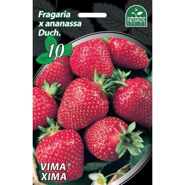 Zemenes frigo Vima® Xima 10gab