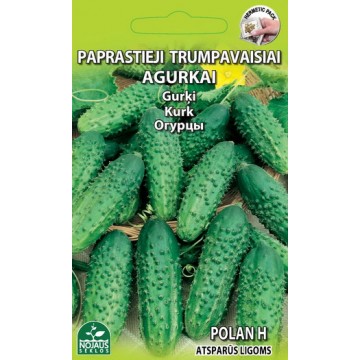GURĶI, ĪSLAPU GURĶI POLAN H