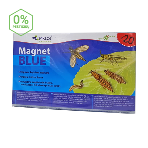 Mini Magnet BLUE lapsenes, lapgraužu lamatas 20x12cm, 20 gab.