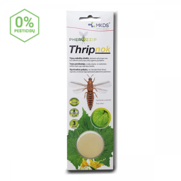 Thripnok Thrips kukaiņu...