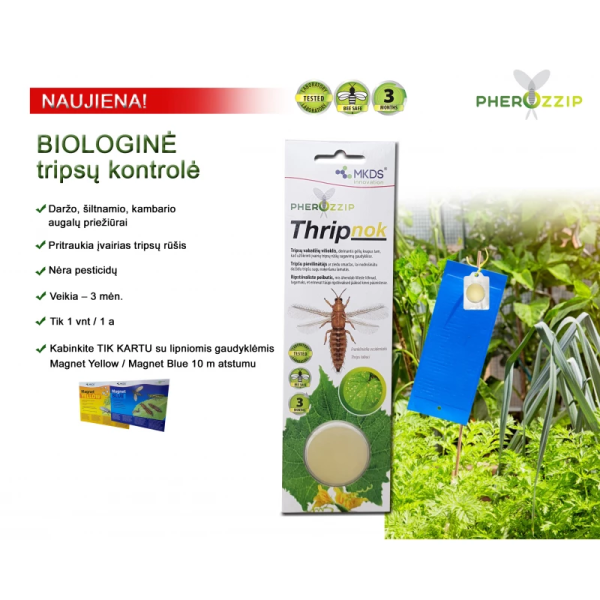 Thripnok Thrips kukaiņu pievilinātājs , 1 gab.