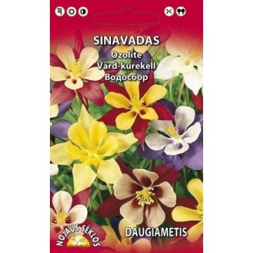 Daudzgadīgā scabioza