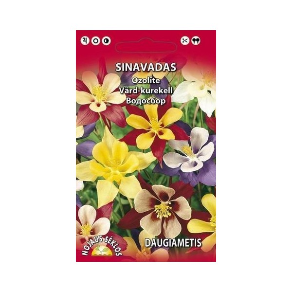 Daudzgadīgā scabioza