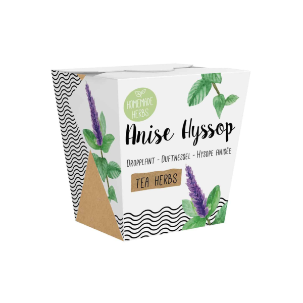 Anīsa isopa audzēšanas komplekts